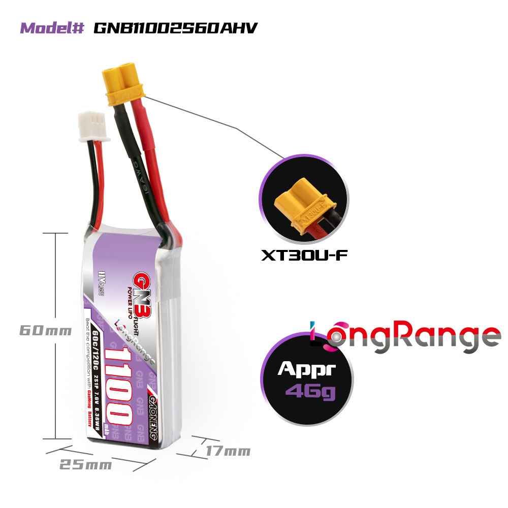 GNB 1100mAh 2S 3S 4S 6S 60C/12 - Rc Helicopter Battery reseña y precio